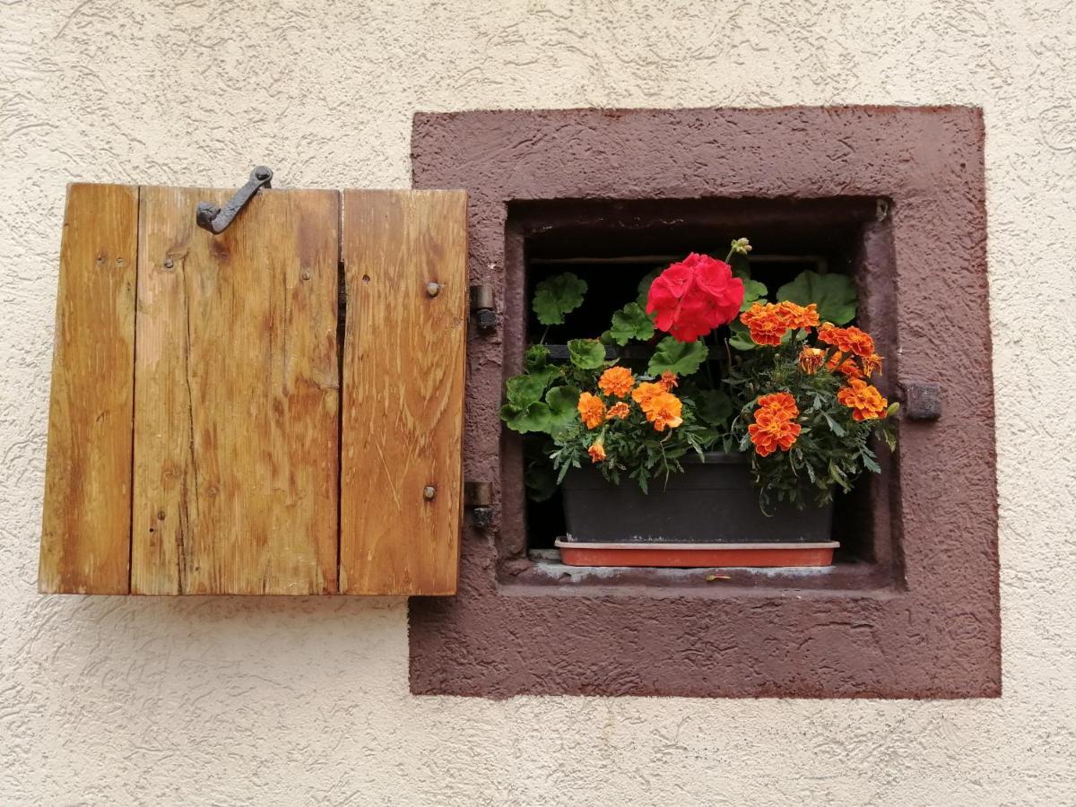 Gite Le Patio Kaysersberg-Vignoble Eksteriør billede