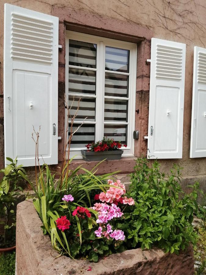 Gite Le Patio Kaysersberg-Vignoble Eksteriør billede